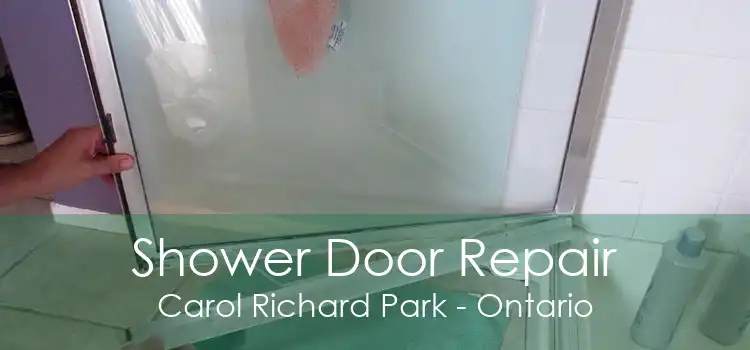 Shower Door Repair Carol Richard Park - Ontario