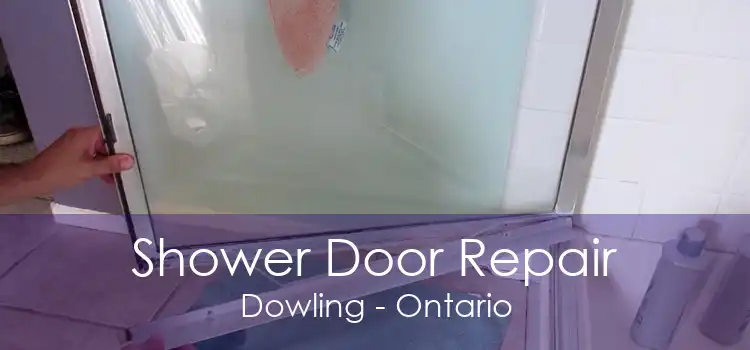 Shower Door Repair Dowling - Ontario