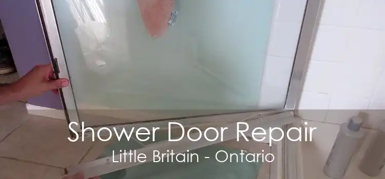 Shower Door Repair Little Britain - Ontario