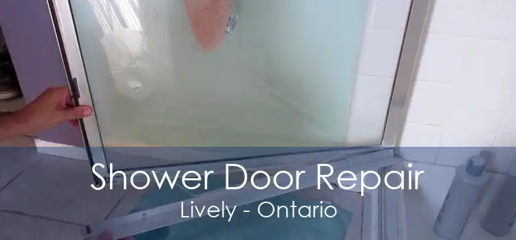 Shower Door Repair Lively - Ontario