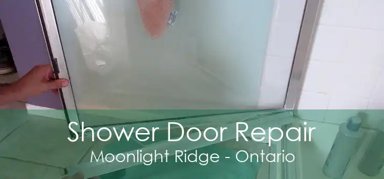 Shower Door Repair Moonlight Ridge - Ontario