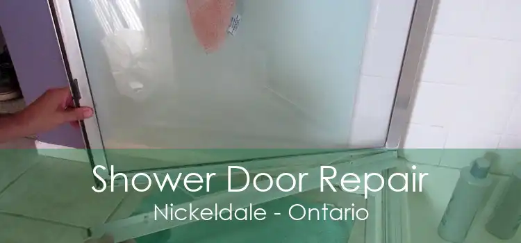 Shower Door Repair Nickeldale - Ontario