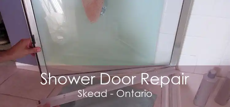 Shower Door Repair Skead - Ontario
