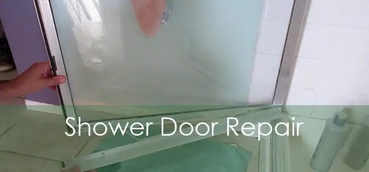 Shower Door Repair 