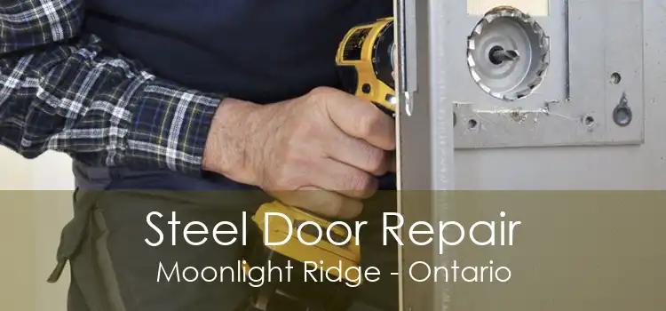 Steel Door Repair Moonlight Ridge - Ontario