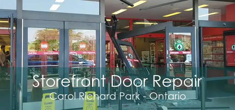 Storefront Door Repair Carol Richard Park - Ontario