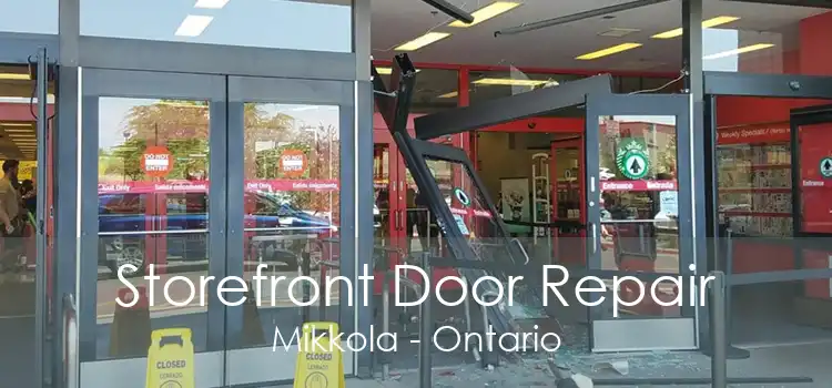 Storefront Door Repair Mikkola - Ontario