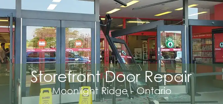 Storefront Door Repair Moonlight Ridge - Ontario