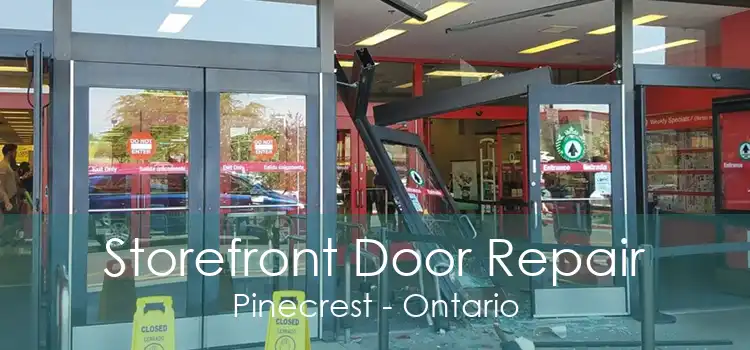 Storefront Door Repair Pinecrest - Ontario