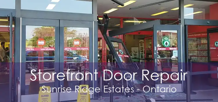 Storefront Door Repair Sunrise Ridge Estates - Ontario