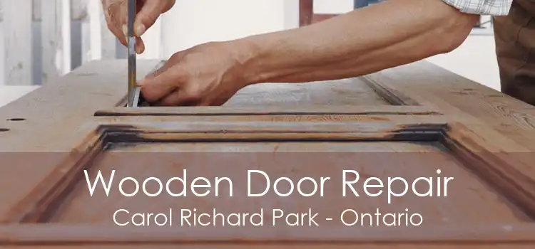 Wooden Door Repair Carol Richard Park - Ontario