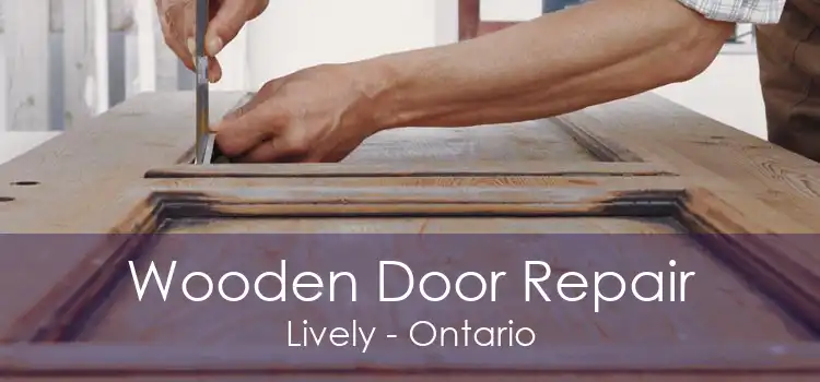 Wooden Door Repair Lively - Ontario