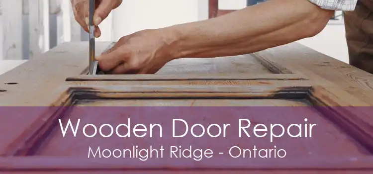 Wooden Door Repair Moonlight Ridge - Ontario