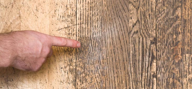 Wood Door Scratch Repair in Sudbury